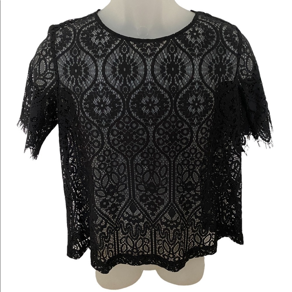 ANN TAYLOR LOFT Black Lace Short Sleeve Blpuse Women SP Small Petite PS